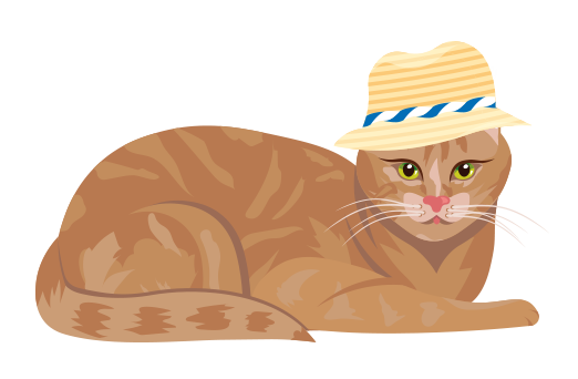 Kater Misti