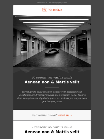 Newsletter-Vorlage