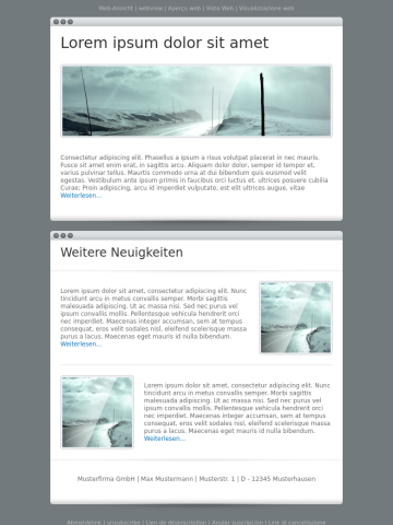 Newsletter-Vorlage
