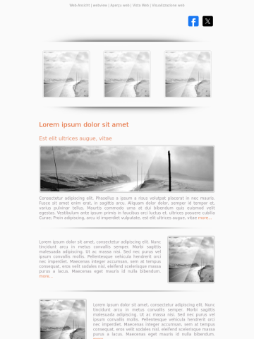 Newsletter-Vorlage