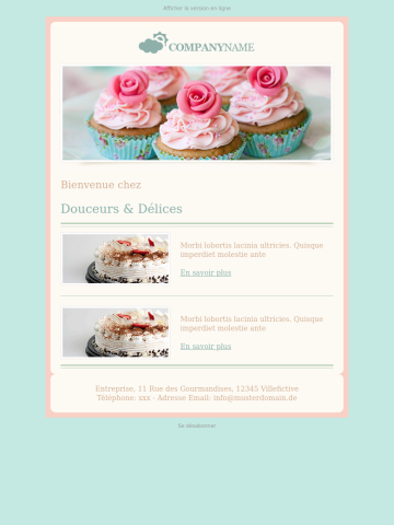 Modèle de newsletter