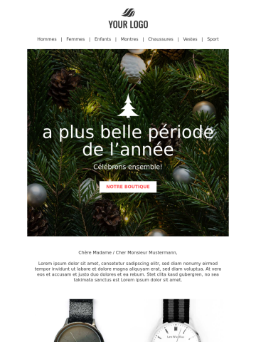 Modèle de newsletter