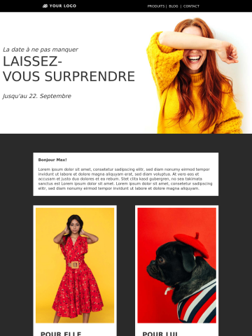 Modèle de newsletter