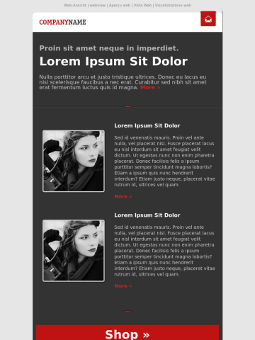 Newsletter-Vorlage