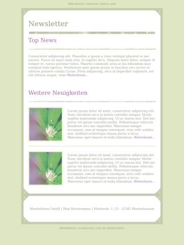 Newsletter-Vorlage