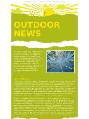 Newsletter-Vorlage