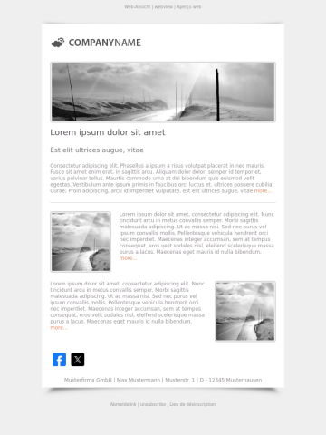 Newsletter-Vorlage