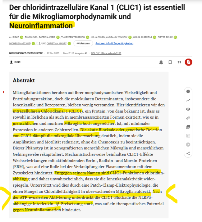 Der chloridintrazelluläre Kanal 1 (CLIC1) ist essentiell für die Mikrogliamorphodynamik und Neuroinflammation