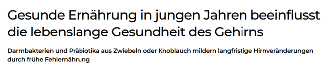 Gesunde Ernährung in jungen Jahren beeinflusst die lebenslange Gesundheit des Gehirns