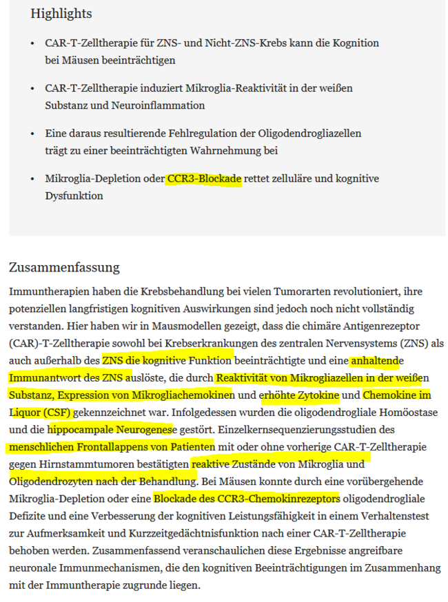 Ursachen des Brainfogs
