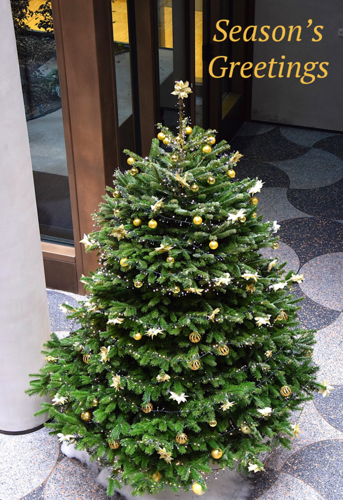 Christmas tree decorated with gold-colored baubles and stars at the Max Planck Institute for Innovation and Competition, with the text ‘Happy Holidays’.