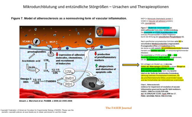 LXA4, RcD1,PD1, also ProResolving Mediatoren, stehen im Zusammenhang mit VCAM-1