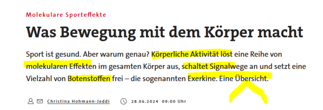 Exerkine - Botenstoffe nach körperlicher Belastung und Neuigkeiten zu Laktat