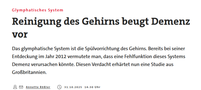  Glymphatisches System Reinigung des Gehirns beugt Demenz vor