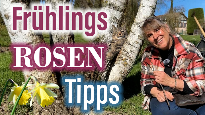 Endlich FRHLING: Pflanzen, Dngen, Schneiden, Spritzen  |  Landhaus Ettenbhl