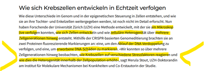 Wir konnten so über mehrere Zellgenerationen hinweg beobachten, wie Krebszellen auf verschiedene Stressfaktoren reagieren und wie dies die Heterogenität innerhalb der Zellpopulation erhöht