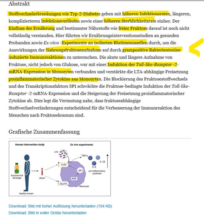 Fruchtzucker erhöht die proinflammatorischen Botenstofe der Monozyten, wenn diese sich mit grampositiven Bakterien beschäftigen