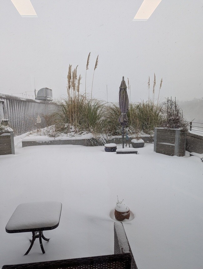 7bfea9affd55a6ae503ccd2c0f80bad9889ac83d