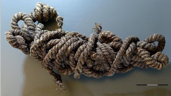  Foto: Südtiroler Archäologiemuseum / So sieht sie aus, die Bogensehne von 