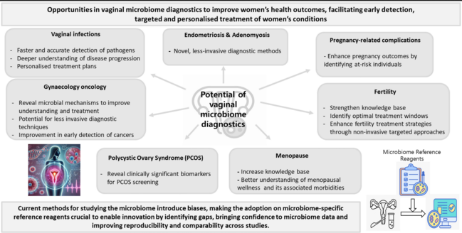 Das ungenutzte Potenzial der vaginalen Mikrobiom-Diagnostik zur Verbesserung der Gesundheit von Frauen