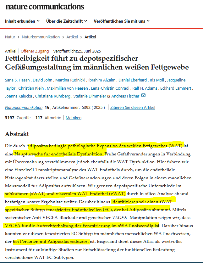 Fettleibigkeit führt zu depotspezifischer Gefäßumgestaltung im männlichen weißen Fettgewebe - doi.org/10.1038/s41467-025-60910-2