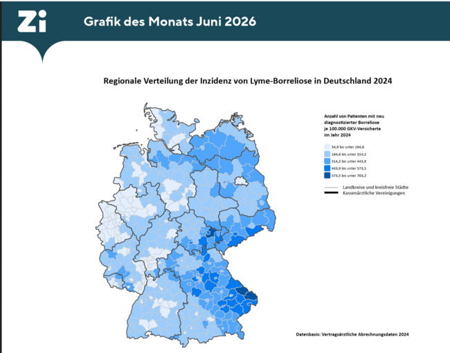 Bei 138.107 in Deutschland gesetzlich versicherten Patientinnen und Patienten ist im Jahr 2024 erstmals eine Lyme-Borreliose diagnostiziert worden