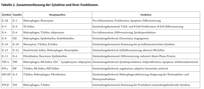 Tabelle 2. Zusammenfassung der Zytokine und ihrer Funktionen.