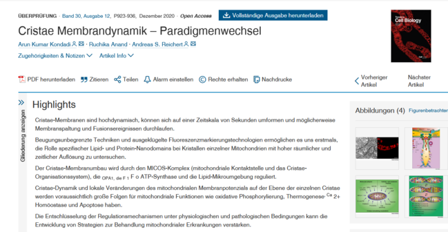 Cristae Membrane Dynamics – A Paradigm Change