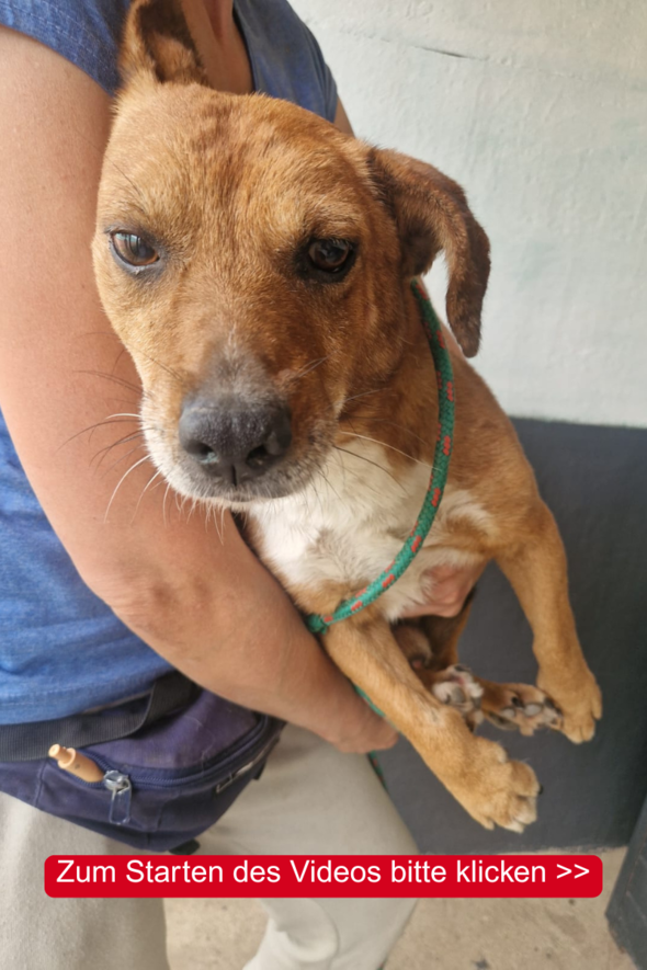 Unser Video zur Rettung