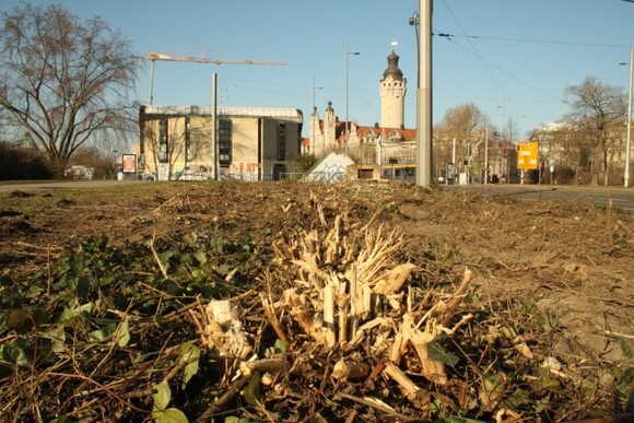 Foto: Sabrina Rötsch