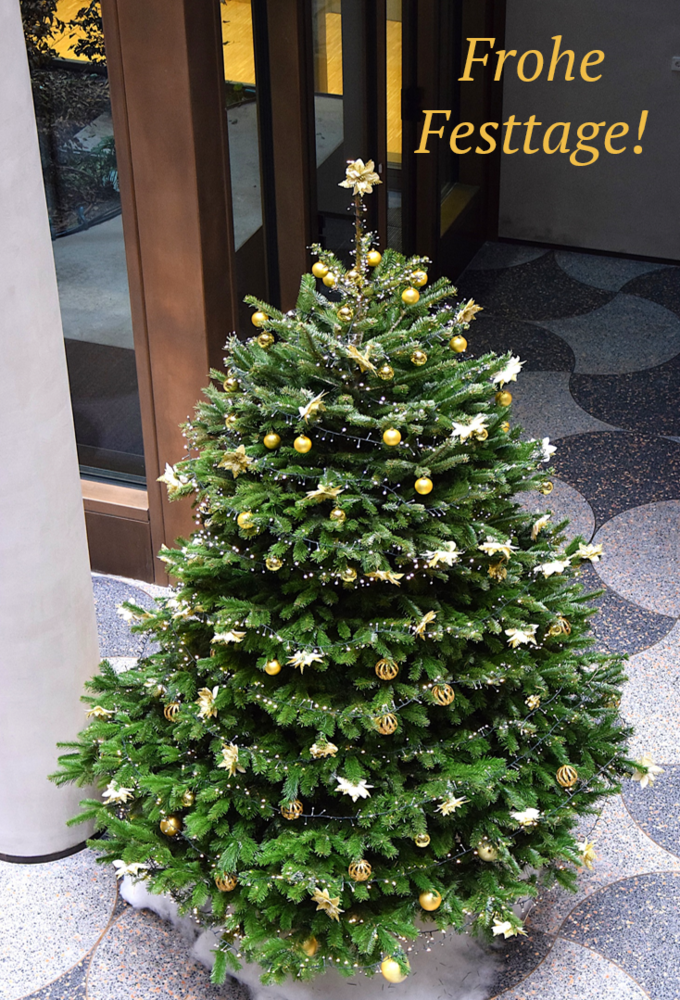 Weihnachtsbaum mit goldfarbenen Kugeln und Sternen, geschmückt im Max-Planck-Institut für Innovation und Wettbewerb, mit Text 'Frohe Festtage'.