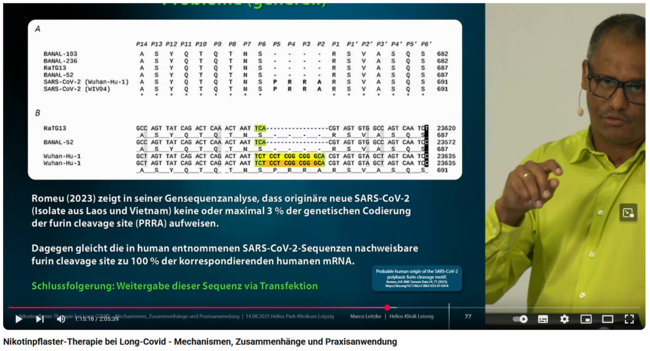 Nachweis der Transfektion