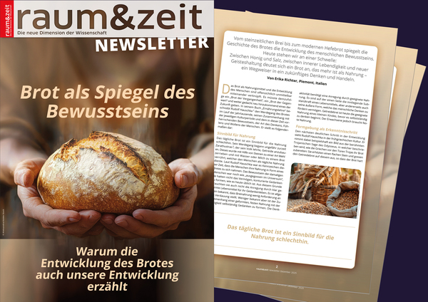 raum&zeit Newsletter-Artikel 259