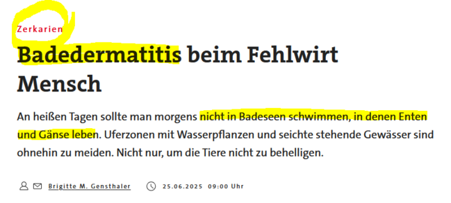 Badedermatitis nach dem Schwimmen in Naturseen mit Enten- oder Gänsebesatz