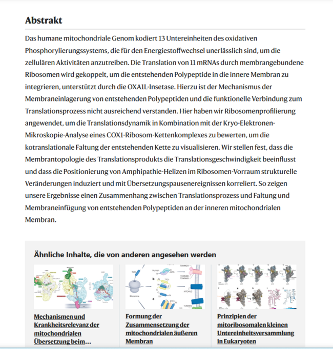 Die Membraneinfügung von mitochondrial-codierten Proteinen reguliert die Ribosomen-Dekodierungsgeschwindigkeit