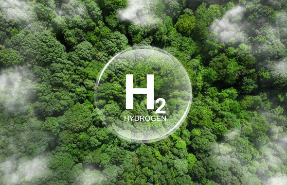 Foto: Pcess609/Adobe Stock