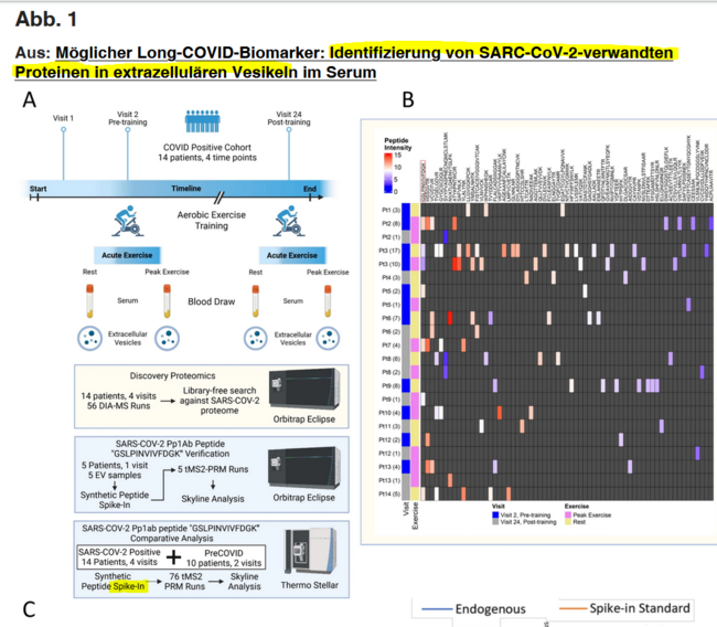  Possible long COVID biomarker: identification of SARC-CoV-2 related protein(s) in Serum Extracellular Vesicles